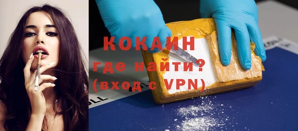 индика Бородино