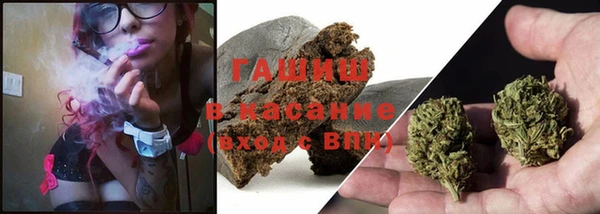 шишки Бронницы