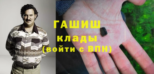индика Бородино