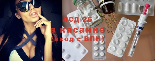 индика Бородино