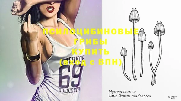 шишки Бугульма