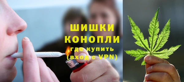 шишки Бронницы