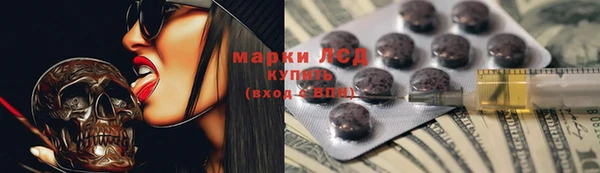 индика Бородино