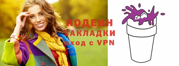 индика Бородино
