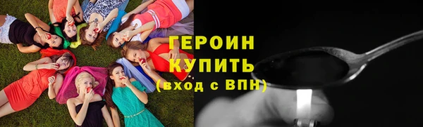 индика Бородино