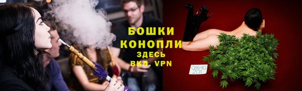 шишки Бугульма