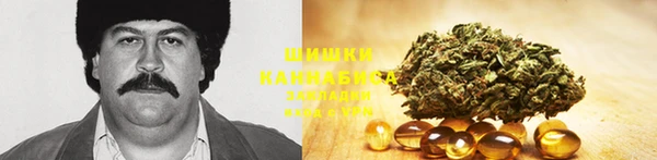 шишки Бронницы