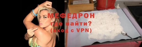 индика Бородино