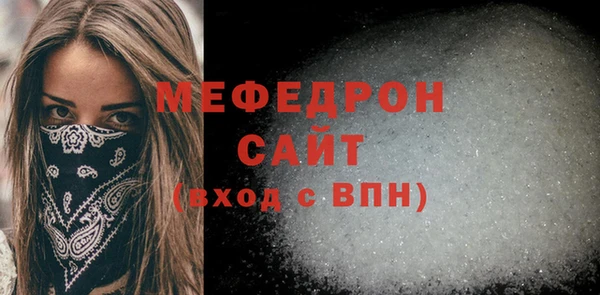 индика Бородино