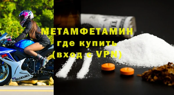 индика Бородино