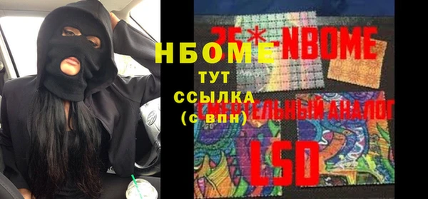 индика Бородино