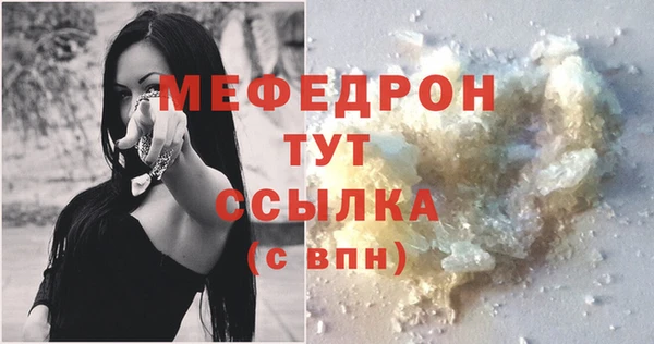индика Бородино