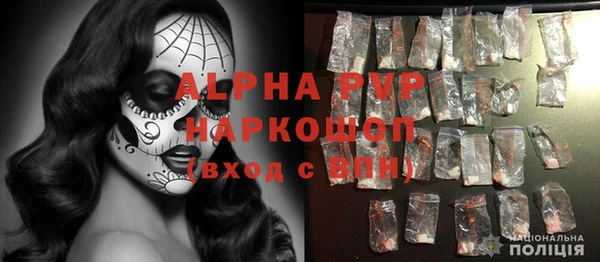 индика Бородино