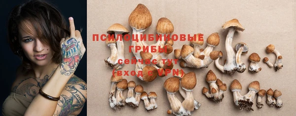индика Бородино