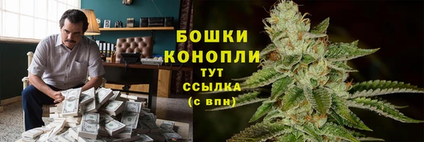 шишки Бугульма
