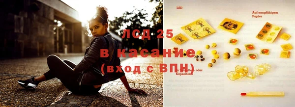 индика Бородино