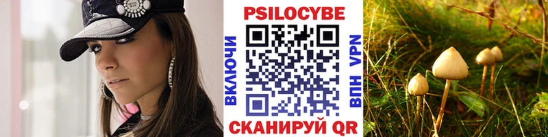 Купить закладки  Нововоронеж  Псилоцибиновые грибы прущие грибы 
