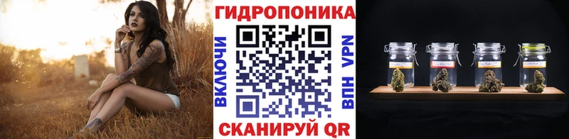 Бошки марихуана марихуана  Купить закладки  Нововоронеж 